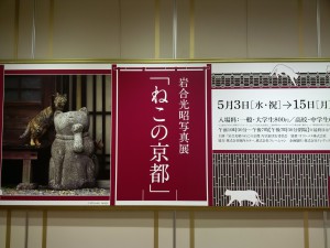 岩合光昭写真展「ねこの京都」