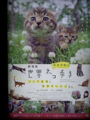 『劇場版 岩合光昭の世界ネコ歩き コトラ家族と世界のいいコたち』