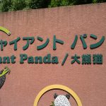 上野動物園でシャンシャンを見た