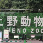 上野動物園に行ってきた