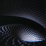 トゥール（Tool）、18年ぶり単独来日