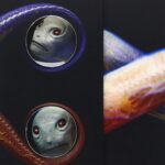 トゥール（Tool）『Vicarious』