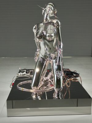 空山基版の素子